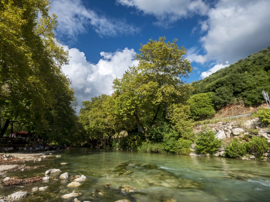 FDR 0815 1024x768